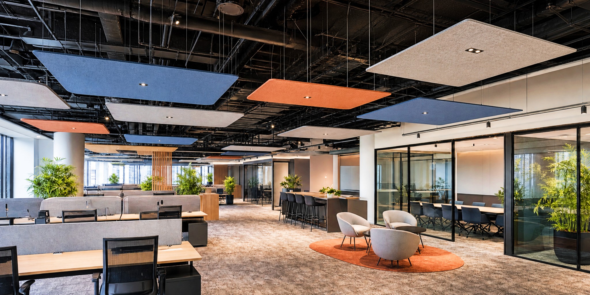 DecraCloud acoustic ceiling clouds suspended throughout a modern open-plan office to reduce reverberation and improve workplace acoustics.